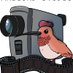 BarigordStudios (@barigord) Twitter profile photo BarigordStudios (@barigord) Twitter profile photo