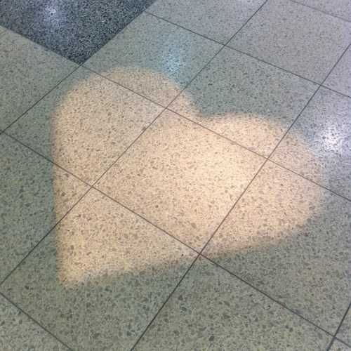 ujyun's profile picture. こうの史代作品のヒロインが理想の女性像です。妻を熟知した夫と中1息子・小5娘と暮らしてます。朝ドラにハマるとつぶやき増えます。朝ドラに出てくる可愛い夫婦大好き侍。