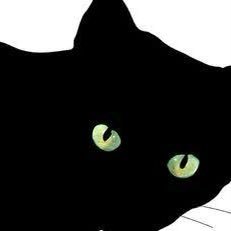 ヴァン猫さんさんのプロフィール画像