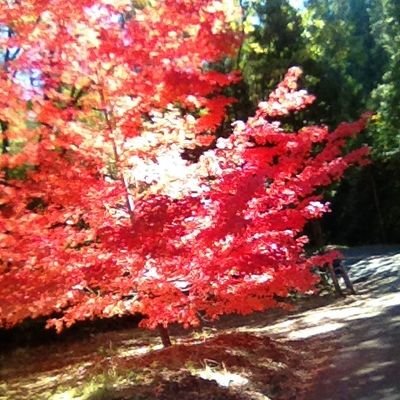 Kittkatt_209's profile picture. ~The ocean stirs the heart, inspires the imagination & brings eternal joy to the soul by Wyland~