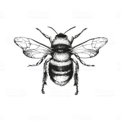 paige_leilani's profile picture. 🐝 happy