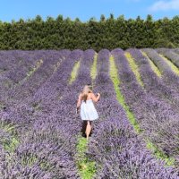 Miss D (@missbdeakin) 's Twitter Profile