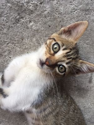 arincocococo's profile picture. 5y👦&3y👧
2018👼→2019👦(無痛分娩)→2021👧(予定日超過で誘発+和痛分娩)
ワーママしてます。
育休→時短で復帰→再度育休→復帰
無言フォロー失礼します&歓迎です🍀