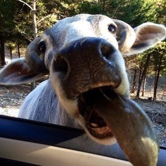 crazyguy373773's profile picture. hey