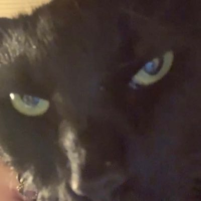 sankta_Luna's profile picture. I don’t know what I was expecting but ok. 22.She/Her