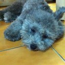 Ryan Chang - @RyanPeiYinChang - Twitter