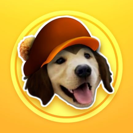 🌟 DouncanTheDog 🌟さんのプロフィール画像