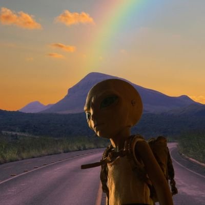 Lolo_Verzini's profile picture. 