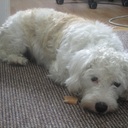 Clare Buck - @BuckClare - Twitter