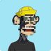 Random Stolen Ape (@namebunchofnos) Twitter profile photo Random Stolen Ape (@namebunchofnos) Twitter profile photo
