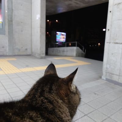 eM福岡所属(@e_m_fukuoka)|全国都道府県対抗eスポーツ選手権2022 TOCHIGI GT部門福岡県代表|福岡県在住|道産子|グランツーリスモ|JEGTドライバー(eM福岡 エンタテ!区 LEGENDS)|最近変顔やってません|Instagram→nk_momoko