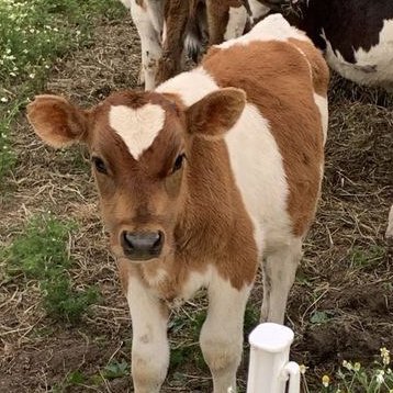 h03pl34s3r_'s profile picture. 1 l0v3 h03s 4nd c0w2 :)