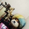 raphaelmarco109's profile picture. 