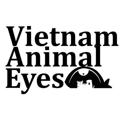 Vietnam Animal Eyes