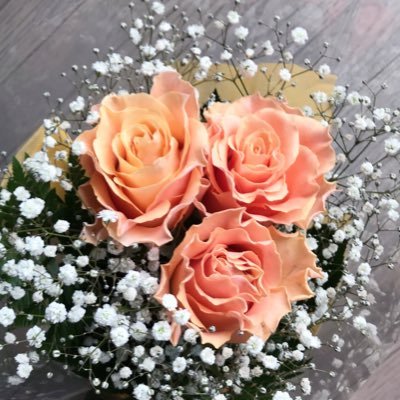 _marmarmarma's profile picture. 