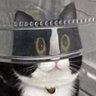 Dogodve_'s profile picture. 26 / he/him / Dutch
