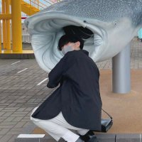 けん (@keeeeen_com) 's Twitter Profile