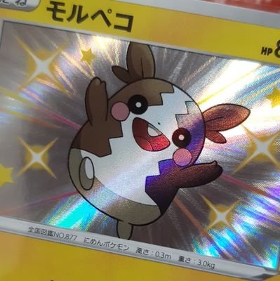 群馬☺ポケカ💡SRはメンズ引きがち。対戦はプレミだらけ😊ちいかわ・ナガノのアザラシ・にゃんこ大戦争・サンリオすき💓
ポケスリ3509-2823-8759⭐