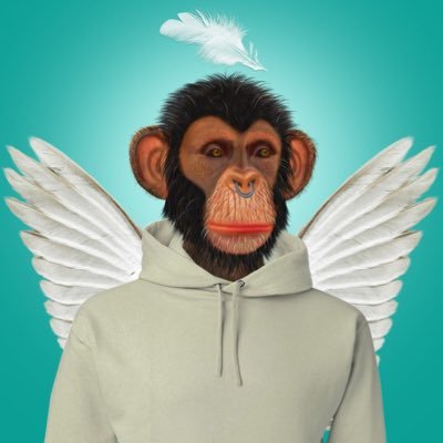 armin_hos's profile picture. 