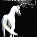 Melissa Feather - @FeatherArabians - Twitter