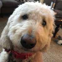 Pam Stomel (@pamiamm123) 's Twitter Profile Photo Pam Stomel (@pamiamm123) 's Twitter Profile Photo