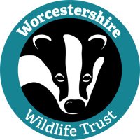 Worcs Wildlife Trust(@WorcsWT) 's Twitter Profile Photo