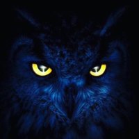 Quiet D (@tmc58032931) 's Twitter Profile