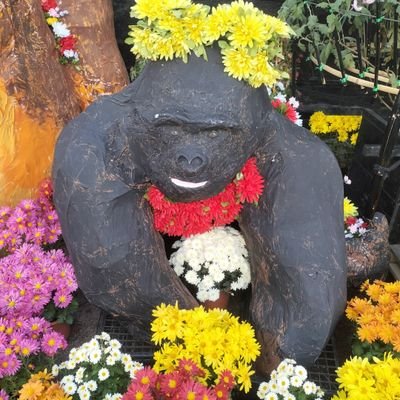 青森県を盛り上げたい弘前市民です。
青森県ご当地スタンドを集めつつ、県内(主に津軽地域)をべぇとウロウロウロウロしています💙　(非公式)虹のマート観測担当🌈🍙

青森県ご当地切り絵、ミニ金魚ねぷたや手持ちねぷたやら色々こっそり作ったり描いたりしてます。たまにソレ見せます