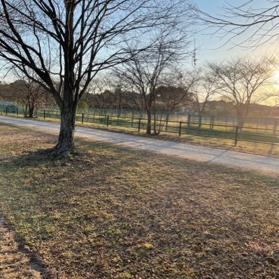 koki_izio's profile picture. 04 TU 公 #FearTheDeer