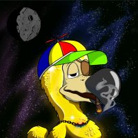 SpaceDoDo (@space_dodo) 's Twitter Profile
