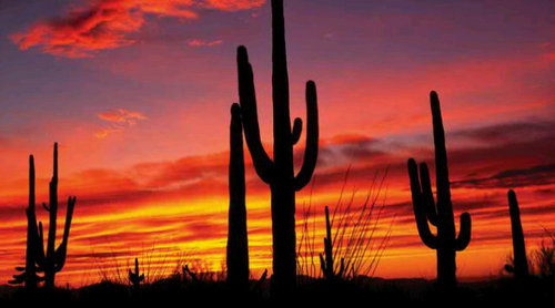 arq_rb's profile picture. 