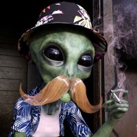 π±πππππππππ πΎππ’ππππ’ (@waxodyssey) 's Twitter Profile