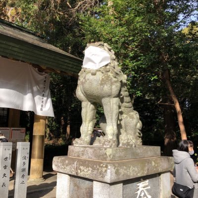 bnilXVKPpedc0dg's profile picture. 