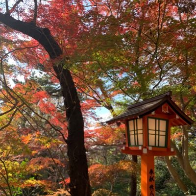 晴天の霹靂で🇸🇬赴任に帯同することに。不安しかない🥲のでtwitter初めてみました。作法も分からずごめんなさい😞子どもは独立済み/フォローさせて下さい🙇‍♂️/2022.6月入国しました