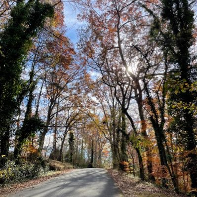 wyndimarie's profile picture. Defiant by nature and but mostly nurture.