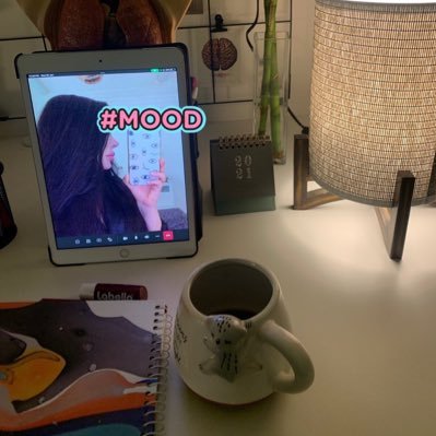 abeermqa's profile picture. 