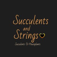 succulents and strings(@succuandstrings) 's Twitter Profileg
