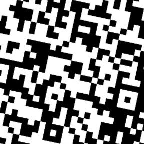 DominikSeidl3's profile picture. 