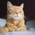 Mr_CatFord7386 (@mcatford7386) Twitter profile photo Mr_CatFord7386 (@mcatford7386) Twitter profile photo
