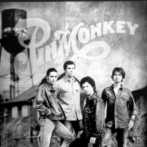 PINMONKEYMUSIC's profile picture. 