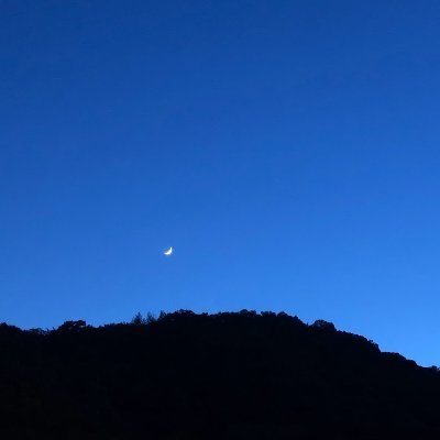 seacastleさんのプロフィール画像