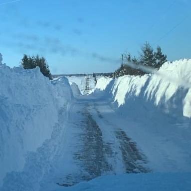 siddhant333111's profile picture. 