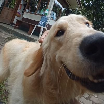 edrafex_actuary's profile picture. Founder of @anakaktu_id