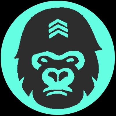 Battlefield content creator. 
Instagram: @sergeantgorilla
Youtube channel:
https://t.co/pkHvwL1ost