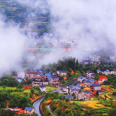 XunMian's profile picture. 大自然研究者