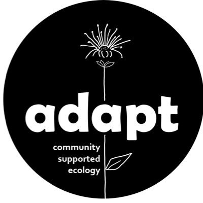 Adapt exists to sustain and promote connections between people and the land that supports us through co-creation of native plant and perennial food landscapes