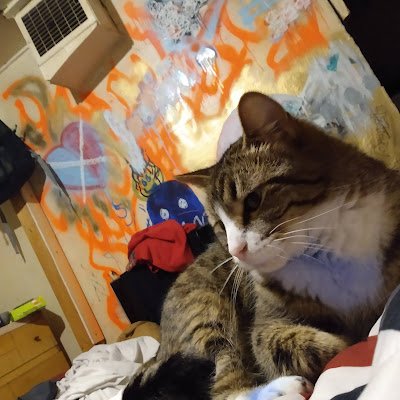 chelseajo0032's profile picture. I'm me