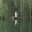 Barry Cotton - @ftnasyrh01 - Twitter