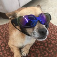 Edward.TI (@epcii) 's Twitter Profile