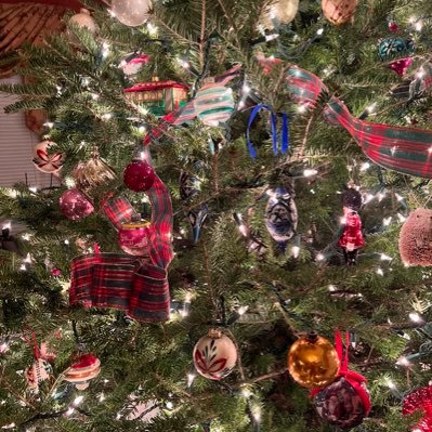 mwhalen999's profile picture. 